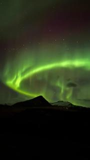 REY Stays - House - Höfn - 1