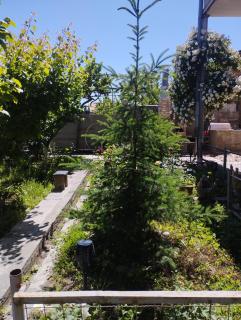 GuestHouse ED&ER near airport - 1