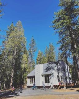 Cozy cottage in the woods - Arnold - 8