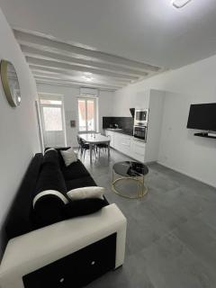 Maison moderne proche zoo Beauval - Selles-sur-Cher - 3
