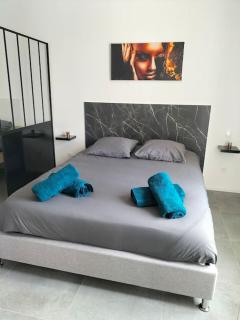 Maison moderne proche zoo Beauval - Selles-sur-Cher - 7
