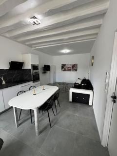 Maison moderne proche zoo Beauval - Selles-sur-Cher - 9