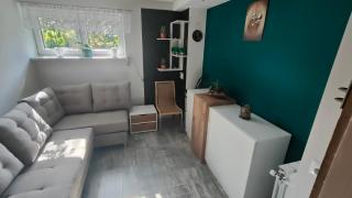 Apart Radzice - - 3
