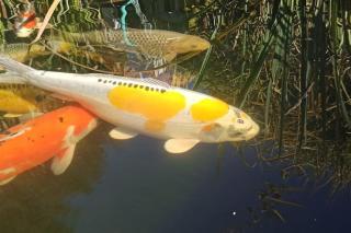 Gîte des trois rivières - 4