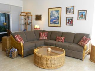 Ground Floor & ac - kbv11g2 - Sullivan Properties - Kapalua - 9