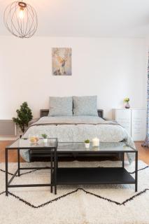 Le Nordique-T2-47m2-Face Val d'Europe-Disney - Montévrain - 7