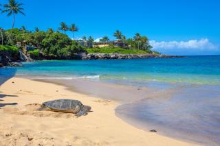 Ground Floor, Seconds to Beach! Ks b1b - Sullivan - Kahana - 0