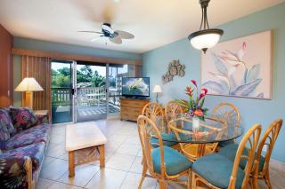 Ocean views & turtle watching - Ks b3 Sullivan - Kahana - 7
