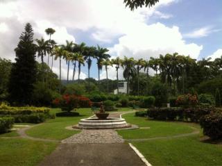 The Zen Den - Port-of-Spain - 7