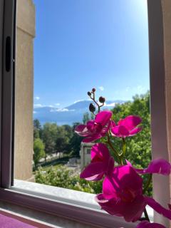Lake view - Pogradec - 9