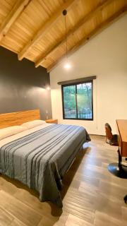 Cabaña de lujo 2 habitaciones con Jacuzzi Dentro del Bosque a 10 min del Pueblo - Mazamitla - 5