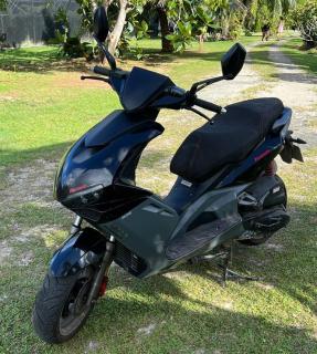 Tiny house avec scooter - Puahua - 3