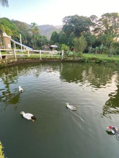 Pousada Ecológica Cavalo de Pedra - 8
