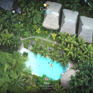 COCONUT TARAPOTO - ECO RESORT - Tarapoto - 5