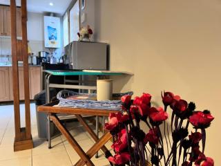 Narcisos y Amapolas en Ushuaia - 2