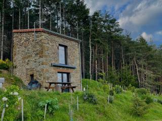 Maison de vigne rénovée à Langeac, nature et randonnées - FR-1-582-86 - Langeac - 9