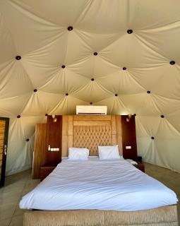 Jabal Rum Camp - Wadi Rum - 9
