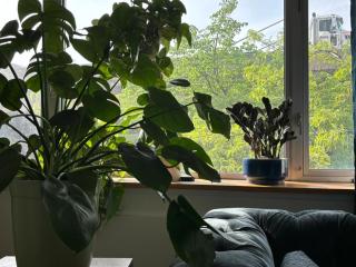 4 Peeps Charm Apartament in Williamsburg Brooklyn NYC - Union City - 2
