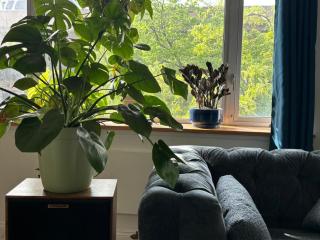 4 Peeps Charm Apartament in Williamsburg Brooklyn NYC - Union City - 4