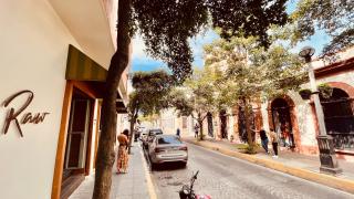 Casa Alicia @ Downtown - 8