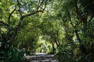 Port Douglas Mirage Villa 433 - Beachfront - Port Douglas - 7