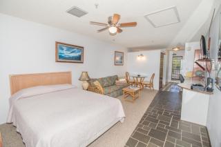 Napili Bay Steps from Ocean! nb204 - Sullivan - Kahana - 5