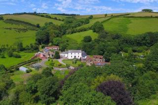 Newt Cottage - Combe Martin - 2