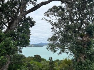 The Nest-Stunning seaview's - Coromandel - 5