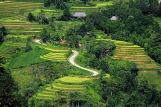 Tay Eco House - 2
