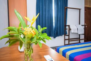 The Emerald Guest House & Villa - 3