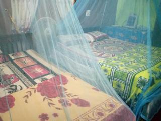 ASK Homestay - 6