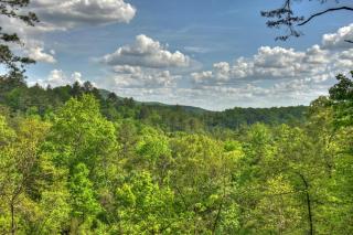 Cozy Mountain Cabin - 6