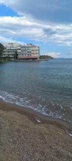 Paradise House - 6