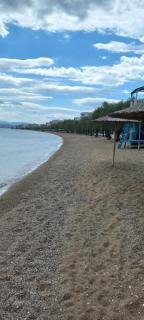 Paradise House - 7