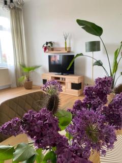 2-Zimmer Zentral in Ferdinandshof, WLAN Modern - Ferdinandshof - 8