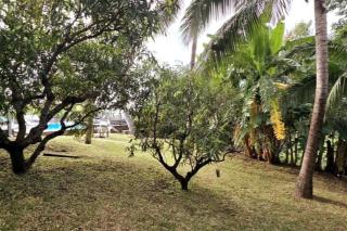 La Baie des Mangues 1 - Baba Figue - Nibou - Saint-Paul - 6