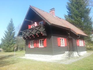 Heidi's house Comfortable Vacation Home - Bad Mitterndorf - 9