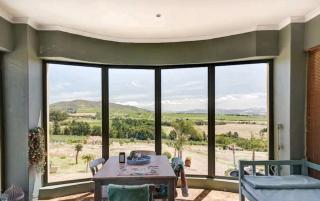 Devon View Olive Farm - Stellenbosch - 8