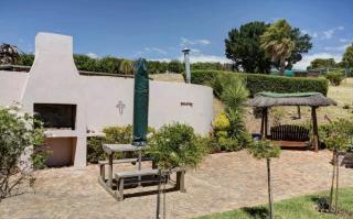 Devon View Olive Farm - Stellenbosch - 5
