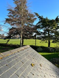 Glen Lyon Lodge Bed and Breakfast - Nairn - 2