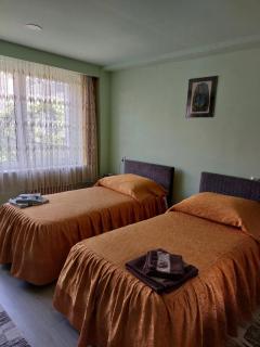 Rodica Apartment - Sibiu - 3