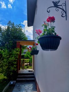 Apartman Aurora - Golubac - 8