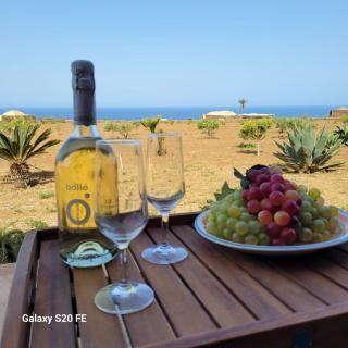Dammusi Riah - Pantelleria - 7