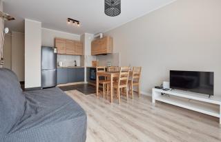 Poznań Airport Homely Apartment - Poznan - 9