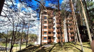 BalkanHill2 S37 Pekovic green - Zlatibor - 1