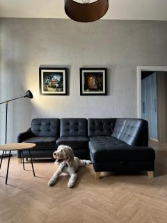 Apartamenty Lemon Pepper - 2