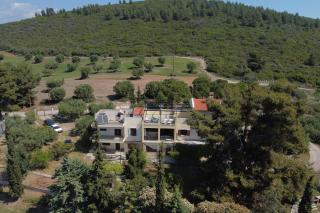3 Olive Trees - Sithonia - Ormília - 8
