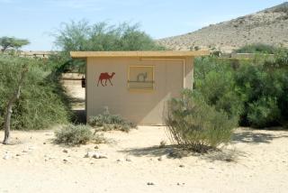 Negev Camel Ranch - Dimona - 6