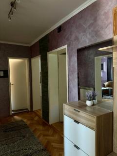 Apartman Tadeus - Soko Banja - 9