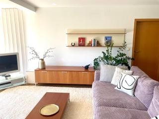 SONNENWEG Designwohnung mit Gartenblick - Plauen - 8